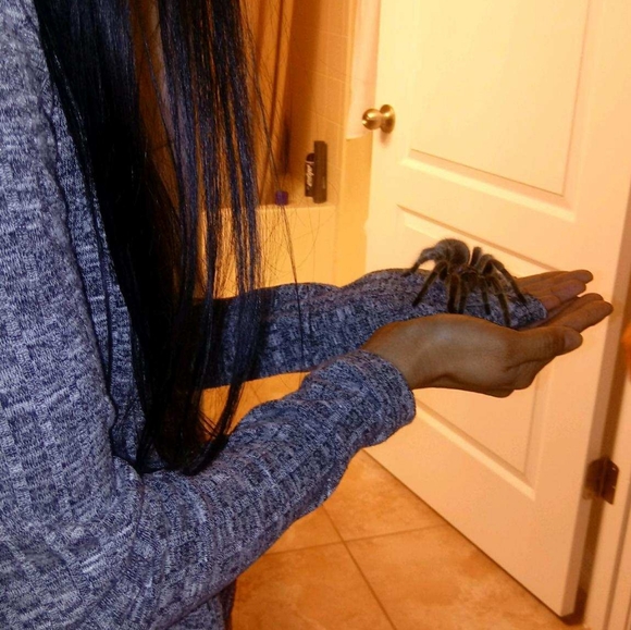 VERY ANIMAL FRIENDLY HOME 🐕🐈🕷🐢🐀❤ - Picture 12 of 16